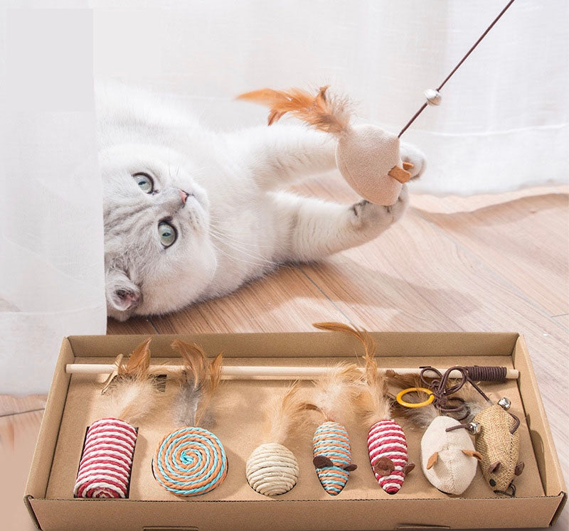 Cat Toy Variety